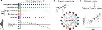 A Peripheral Immune Signature of Labor Induction